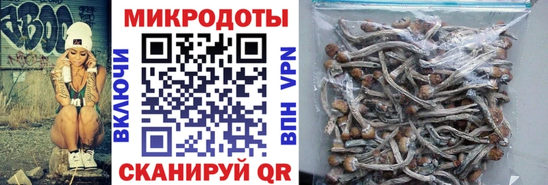 Галлюциногенные грибы Psilocybe  ссылка на мегу вход  Верхний Уфалей 
